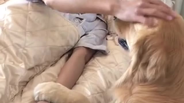 Dogs are our most loyal friends