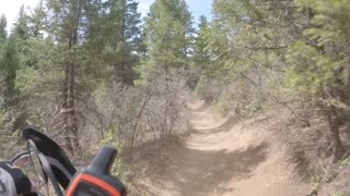 First Trail Video Raw