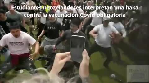 Estudiantes neozelandeses interpretan una haka contra la vacunación Covid obligatoria