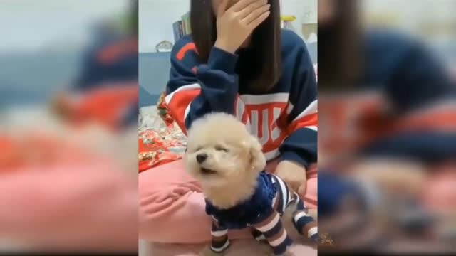 Delighted with cute funny pets