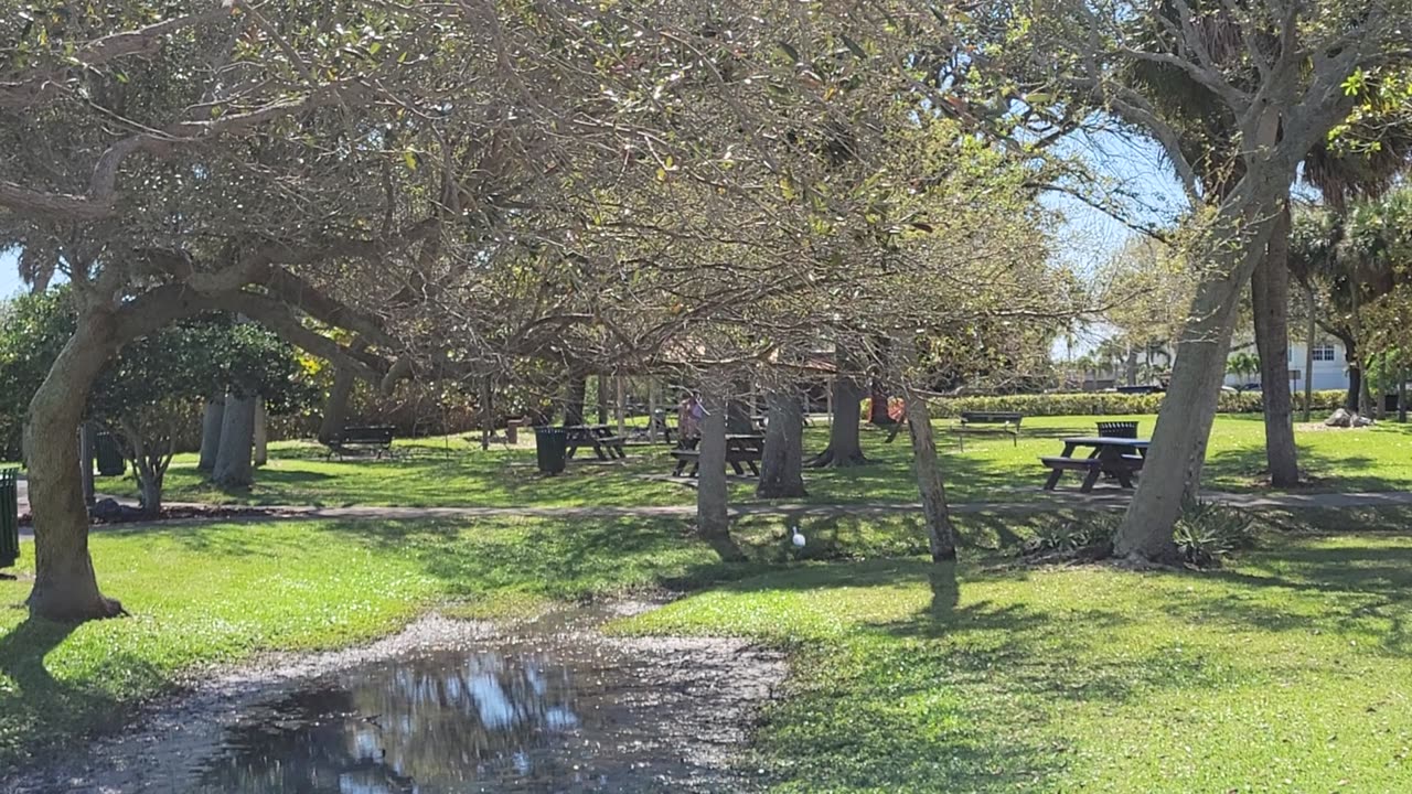 My Florida travels6