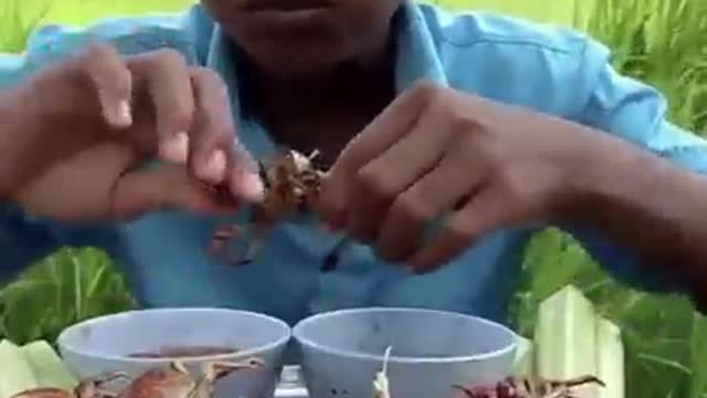 eating eating