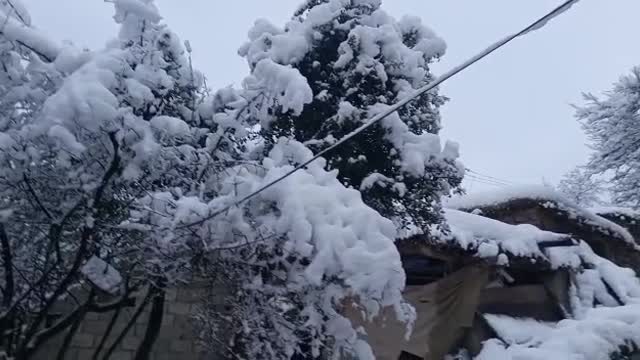 Snowfall in Village beautiful View