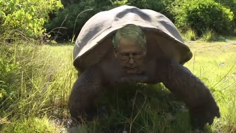 Mitch McConnell works slowly.