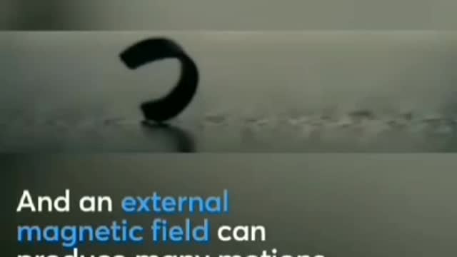 HTVL13 - Graphene Oxide Nanotechnology Caterpillar