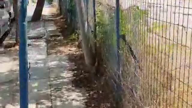 ΑΥΤΗ ΕΙΝΑΙ ΠΡΑΣΙΝΗ ΑΝΑΠΤΥΞΗ-ΔΕΙΤΕ ΠΕΖΟΔΡΟΜΙΟ ΣΤΗΝ ΑΘΗΝΑ