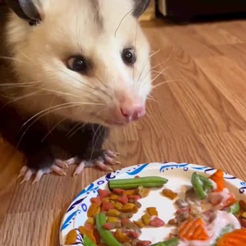 Saving the blackberry for last 😍😍😍