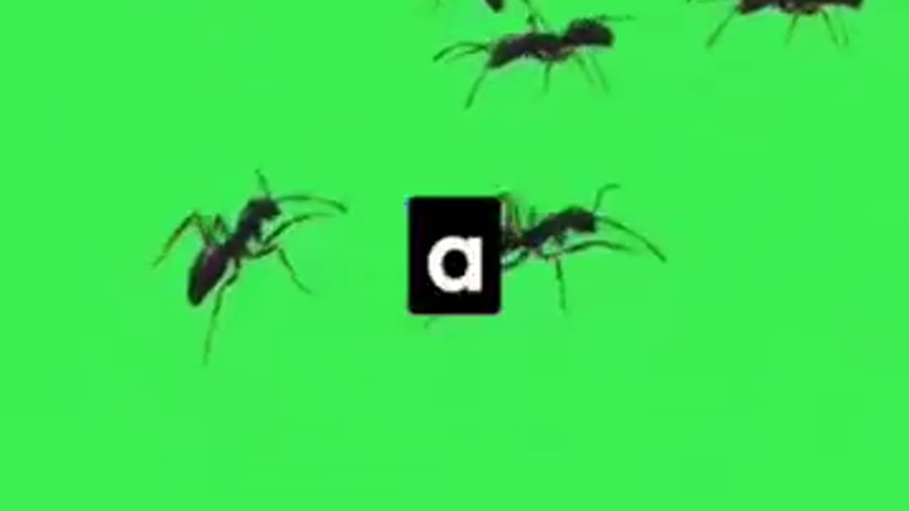 Reason why ants form long trails|TheWhyFactor