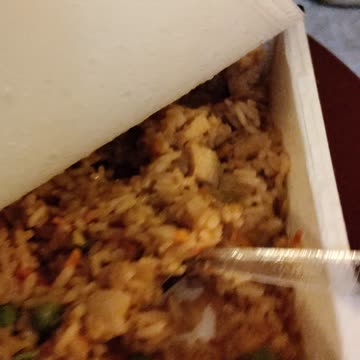 Eating Michelina's Chicken Fried Rice, Dbn, MI, 11/7/23