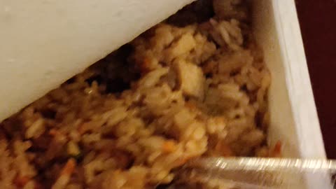 Eating Michelina's Chicken Fried Rice, Dbn, MI, 11/7/23