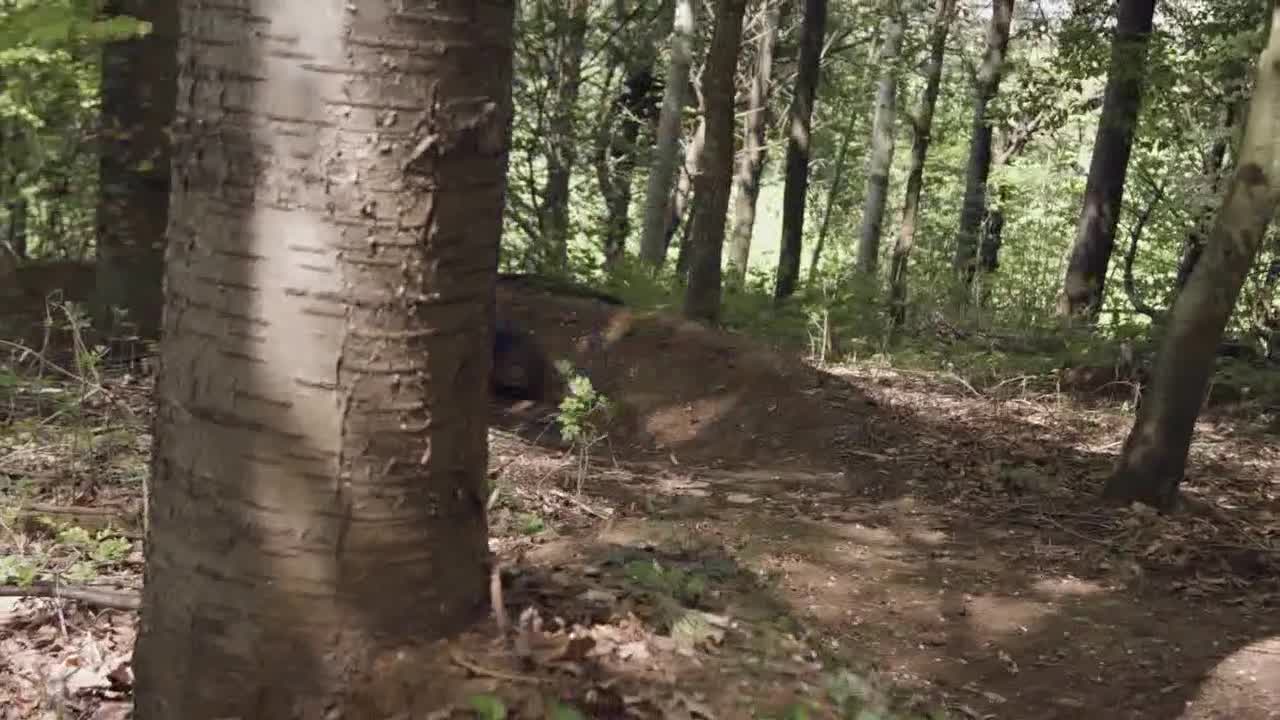 Man On Mountain Bike Cycling Along Dirt Trail Through Woodland At Speed