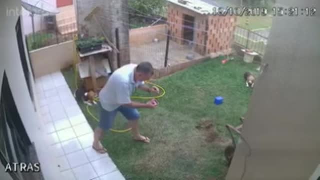 Ant extermination watch till end blast