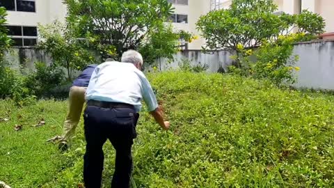 Tháng tư Nghĩa Trang Quân ₫ội Biên Hòa tưởng niệm