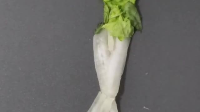 cabbage dances soft dance