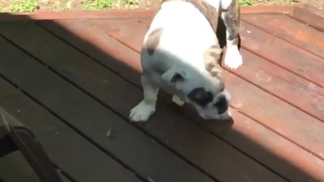 funny new funny compilation/ 2021 funny