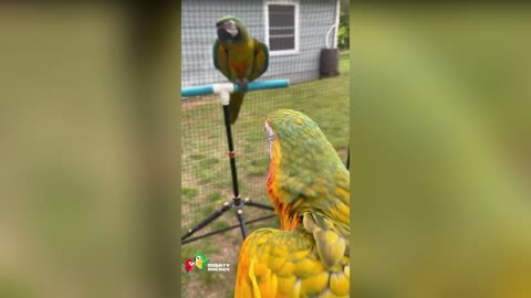 Monty and his new friend