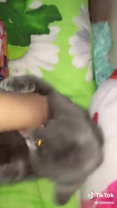 Good and fresh sister tik tok