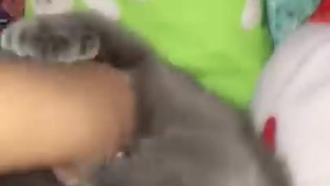 Good and fresh sister tik tok