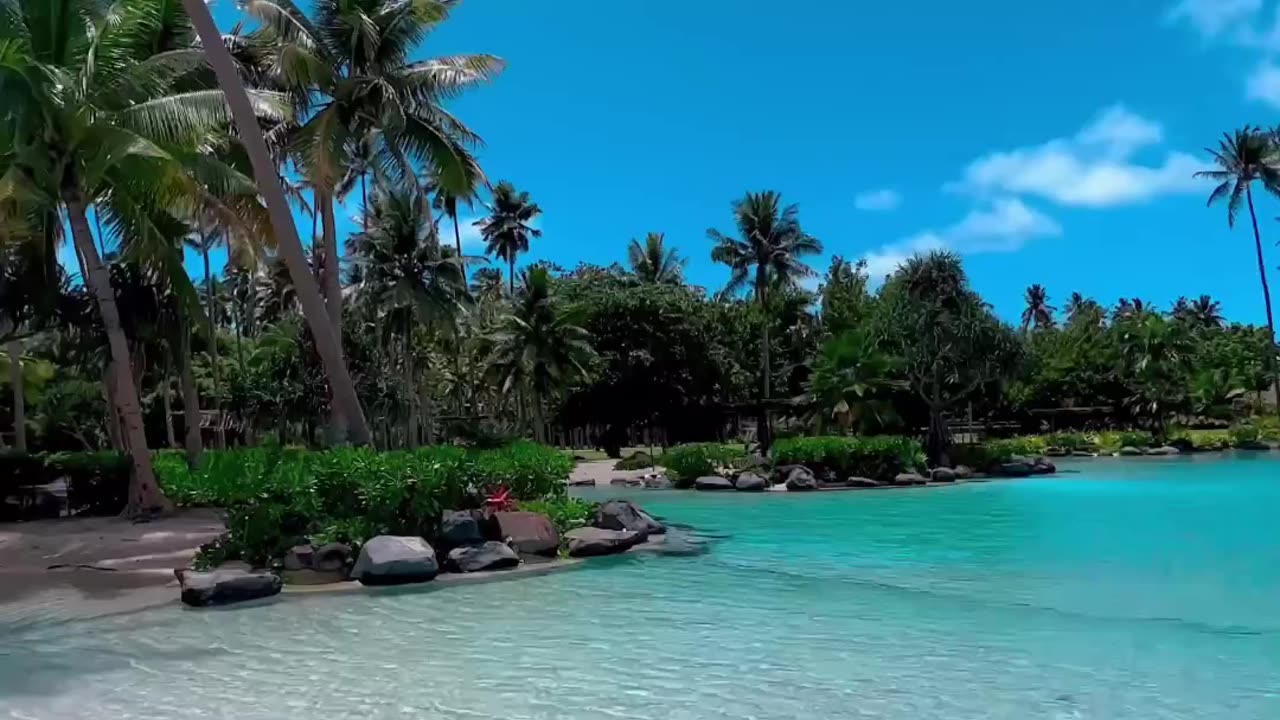 Curtindo o Resort com Excelência