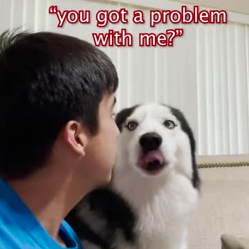 compilation | baby animals 79 | cute animals 79 | kids #shorts