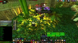 Turtle Wow - MM Weekly ZG - 23 November - paladin tank POV