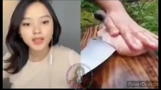 videos de TikTok