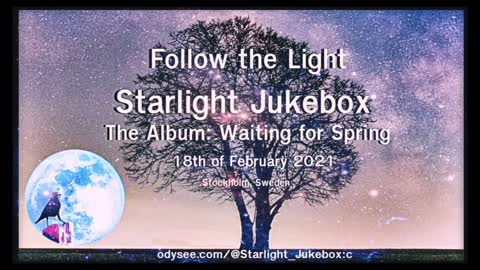 Follow the Light