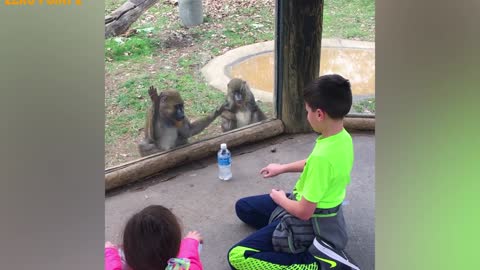 Babies make fun with animal at ZOO #2