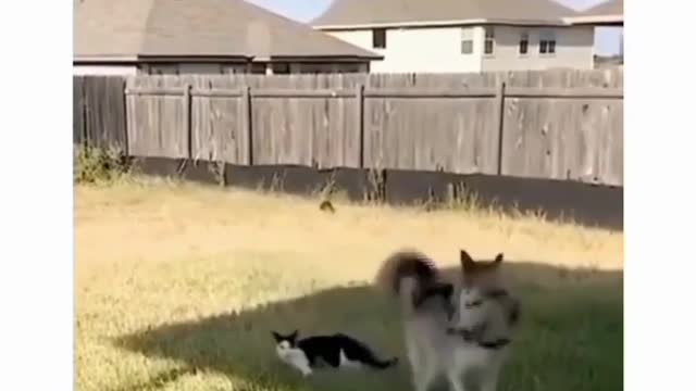 watch your back