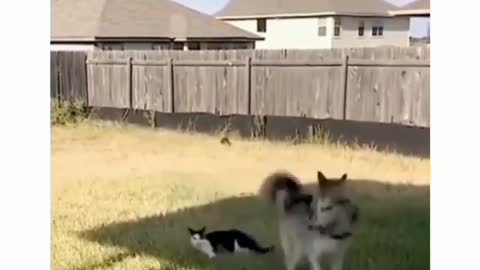 watch your back