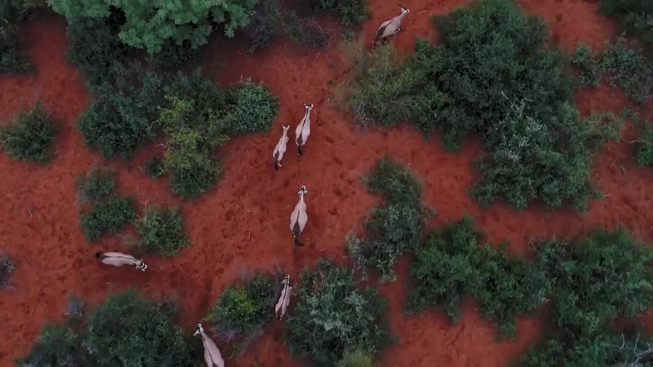 beautiful nature