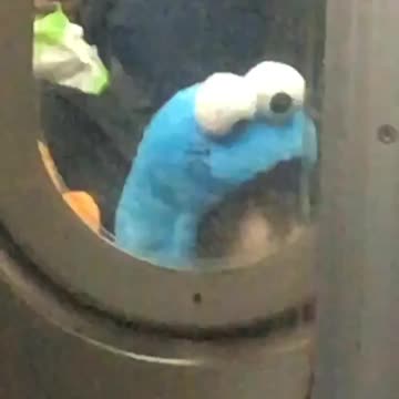 Toddler kid with cookie monster hat stares through subway doors