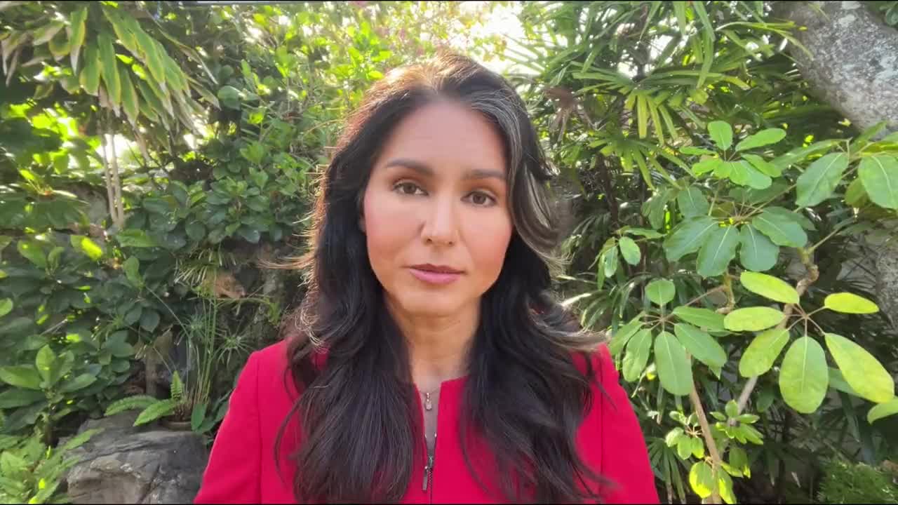 Tulsi Gabbard responds to Mitt Romney