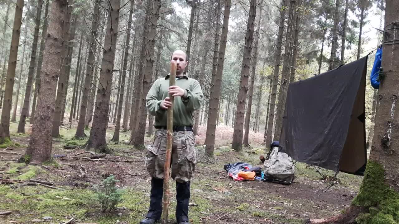 Woodland wildcamping clearing down leave no trace