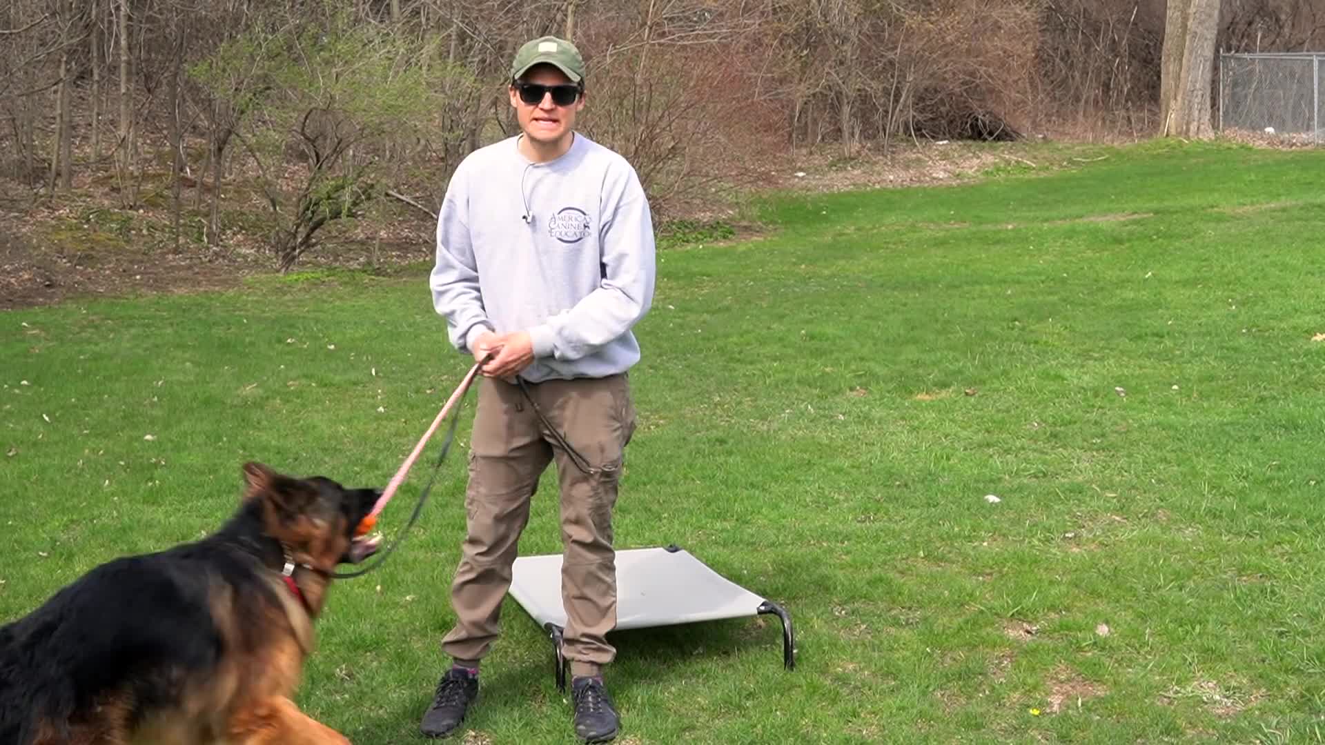 THE MOST UNDERRATED DOG TRAINING COMMAND