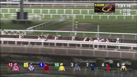 Horce_Race_2022050409_English