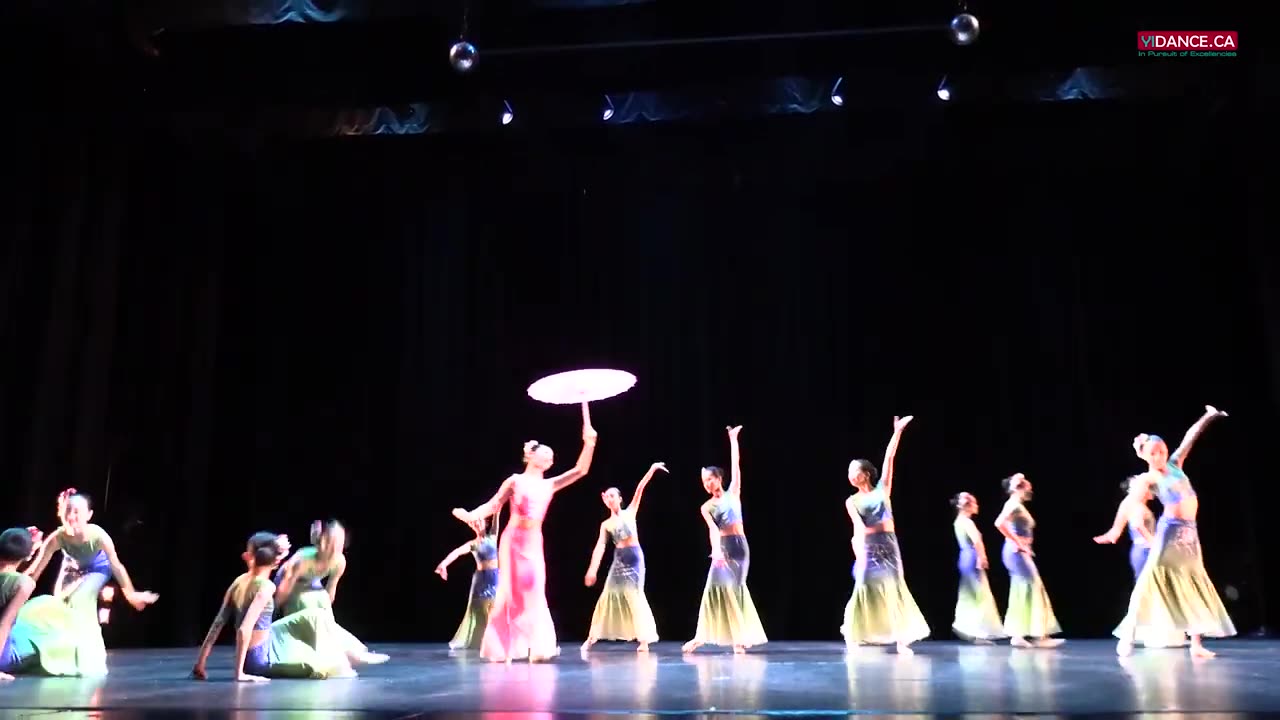 Chinese Dance(中国舞)_ Blossom In Rainforest - Yi Dance 2024 Performance
