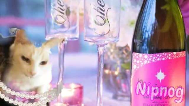 Valentines day for Steve and White Cake