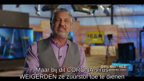 Coviland - The Lockdown 2021