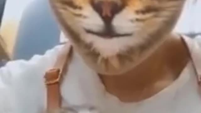 Cute And Funny Pets Try Not To Laugh To These Pets Compilation 45 @anupctg