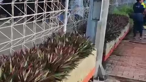 Mujer agredida con botella en Los Ejecutivos