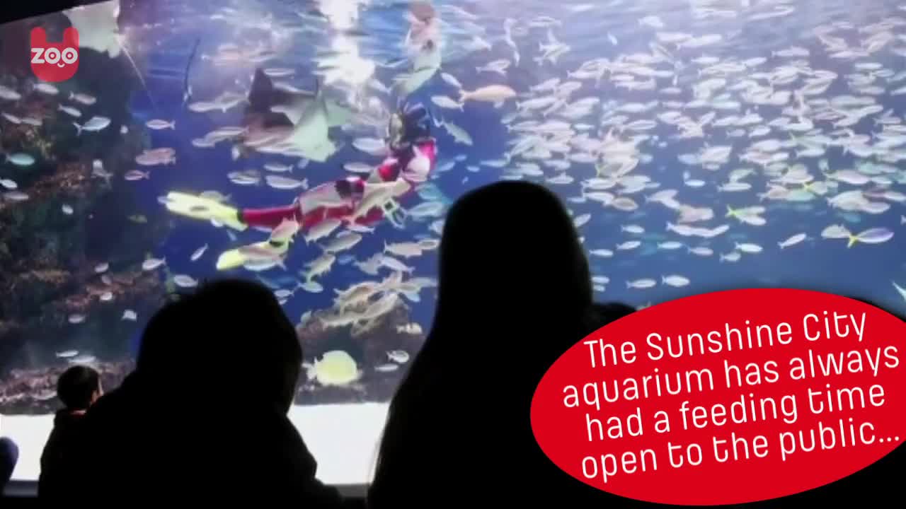 Japanese Aquarium Valentine's Day Celebrations 2015