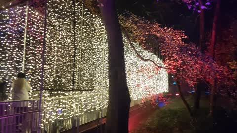 Christmas lights bute Park ☃️🎄❄️✨️