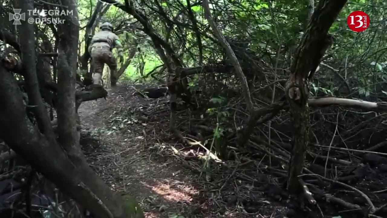 Ukrainian defence forces advance 1.5 km on Melitopol front
