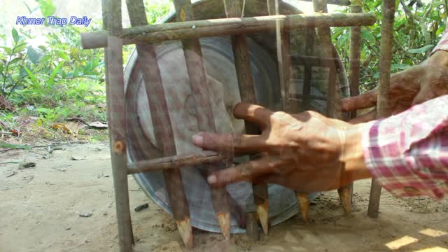 Tiger Cat Trap Make From Plastic Container And Wood - Traditional Tiger Cat Trap Work 100%