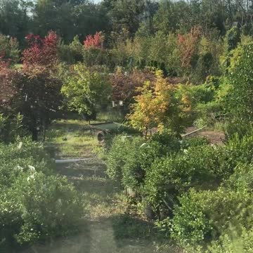 I bet they do not teach this at the Wharton School