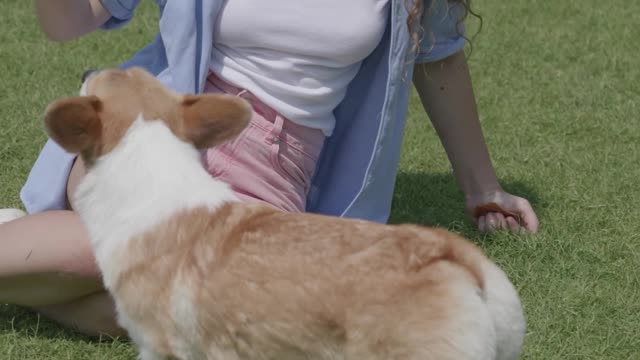 Close Up Video of a Dog Eating