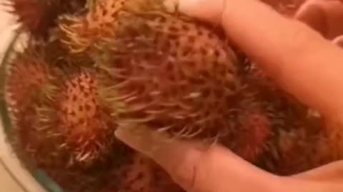 Are you wondering what the benefits of rambutan are?