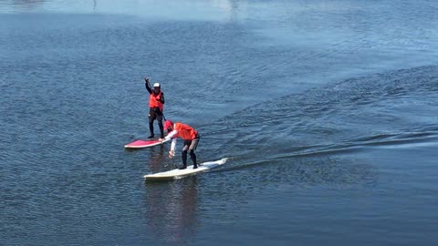 Stand up paddle board Sea walk
