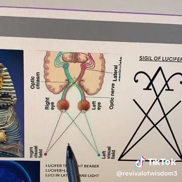 THE PERCEPTION MATTERS THE VIEW THEY PORTRAY IS ALWAYS FEAR